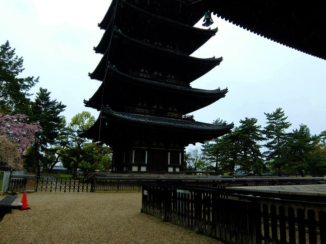 東金堂を　裏手から回って見ました。