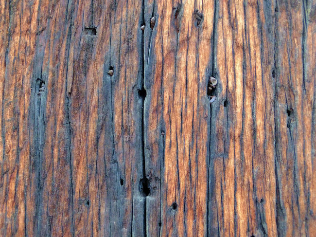 　柱の傷。。流れてきた時代　を想像させます。