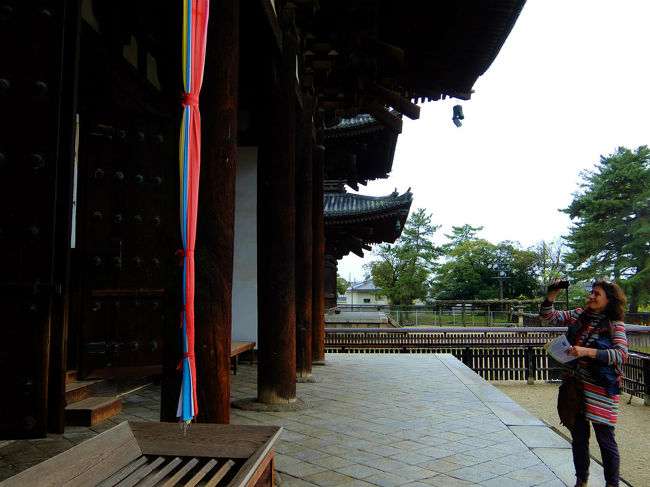 外国の方も　規則を守って　外から写しています。