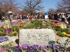 舞鶴公園。
お花見やBBQをしている人がたくさいて賑やかでした。