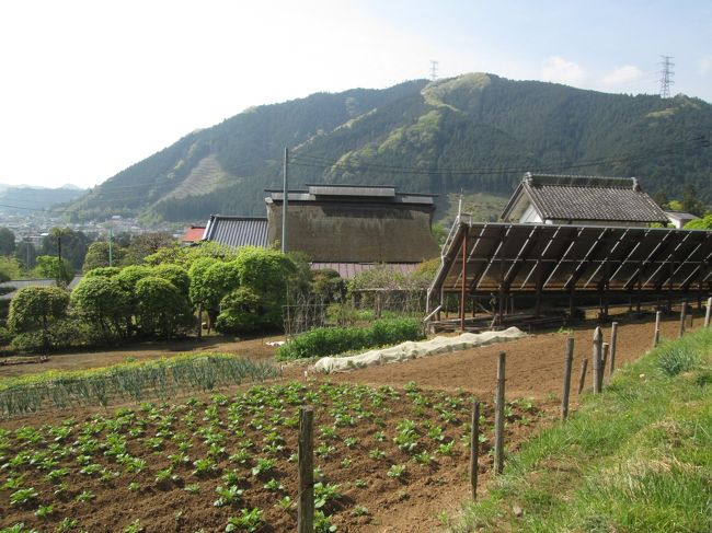 駅のホームから大きな茅葺きの家と瓦屋根の家、瓦屋根・白壁の土蔵ガ見えますが、後で訪ねてみるとこの家の、私とほぼ年代が近い当主は16代目で息子さんが17代目のだそうです。