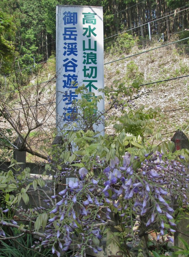 軍畑駅のホームには「高水浪切不動尊・御岳渓谷遊歩道 下車駅」と書かれた大きな看板が出ています。<br />高水山常福院は、智證大師の開山による真言宗の古刹。本尊は浪切不動明王。<br /><br />藤は今が見頃で、電車の車窓からも山藤の薄紫の花が見られます。