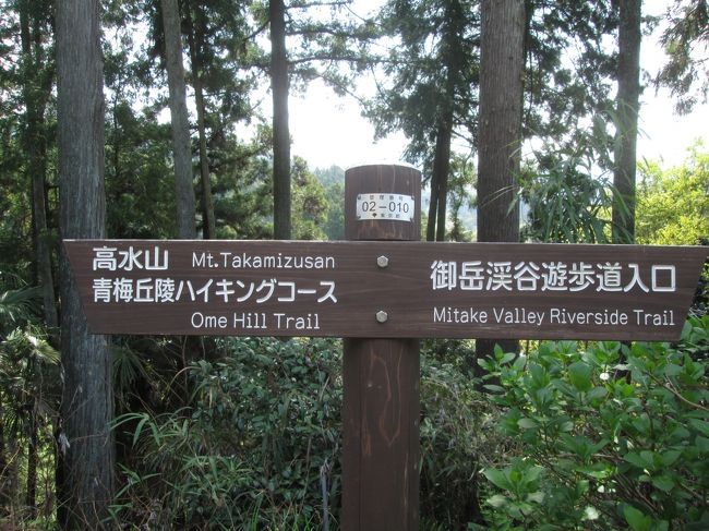 駅前広場の道標（案内標識）