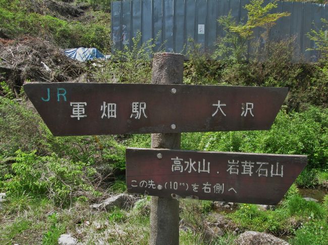平溝川に沿った大沢方面との分岐を高水山方向に進みます。10：41