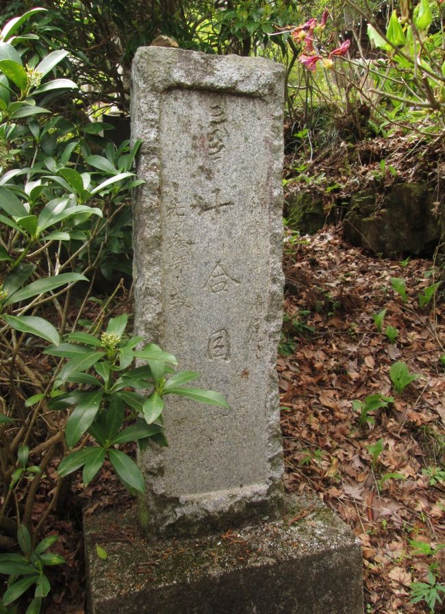 十合目　12：50<br /><br />ここも頂上ではなく高水山不動尊常福院の石段の途中です。