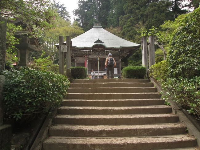 高水山（たかみずさん）は東京都青梅市にある標高759mの山である。岩茸石山（標高793m）、惣岳山（標高756m）と共に高水三山とよばれ、東京近郊のハイキングコースあるいは手頃な登山コースとして人気がある。<br /><br />山頂には真言宗豊山派の高水山常福院があり、4月の第2日曜日には古式ゆかしい獅子舞（高水山古式獅子舞）が披露されている。<br />Wikipedia