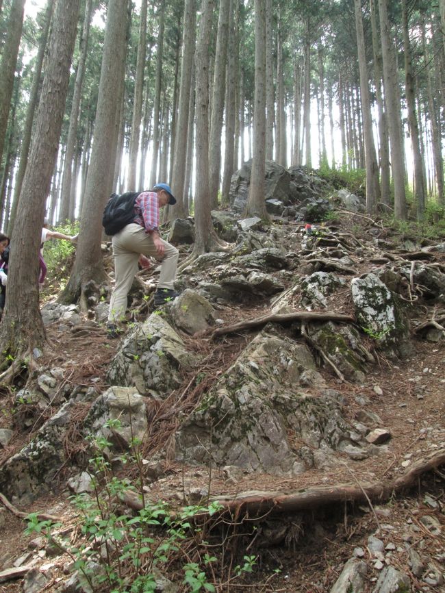 岩茸石山の名前の通り、けっこう険しい登りです。13：37