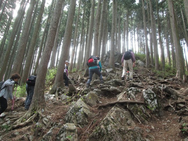 この日は片手撮りができるPowerShotA2300を使いました。13：37