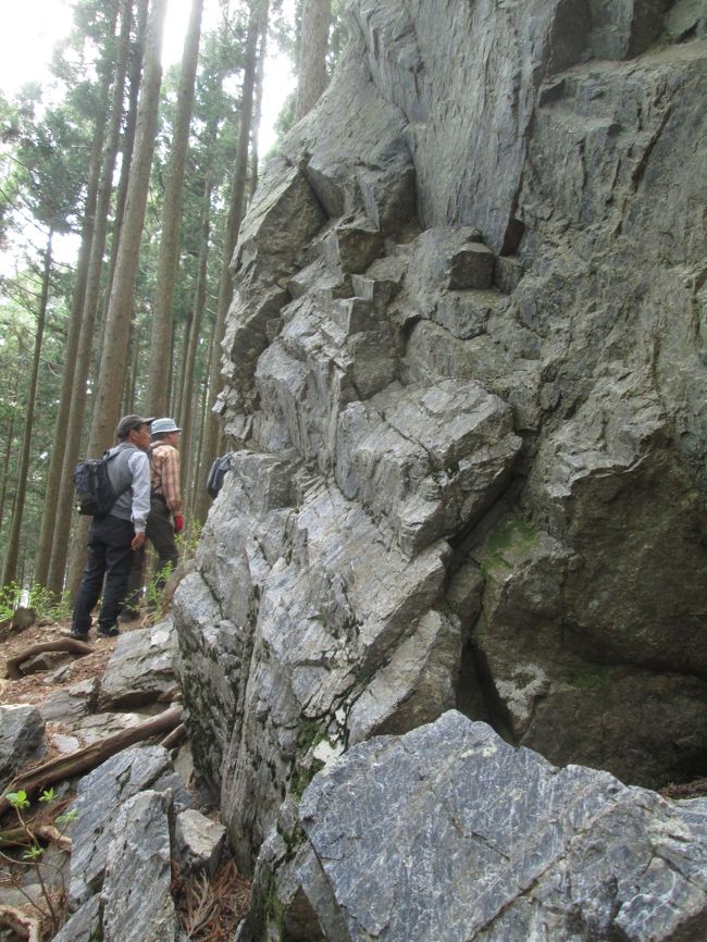 こんな大きな岩は登らずに迂回するしかありません。