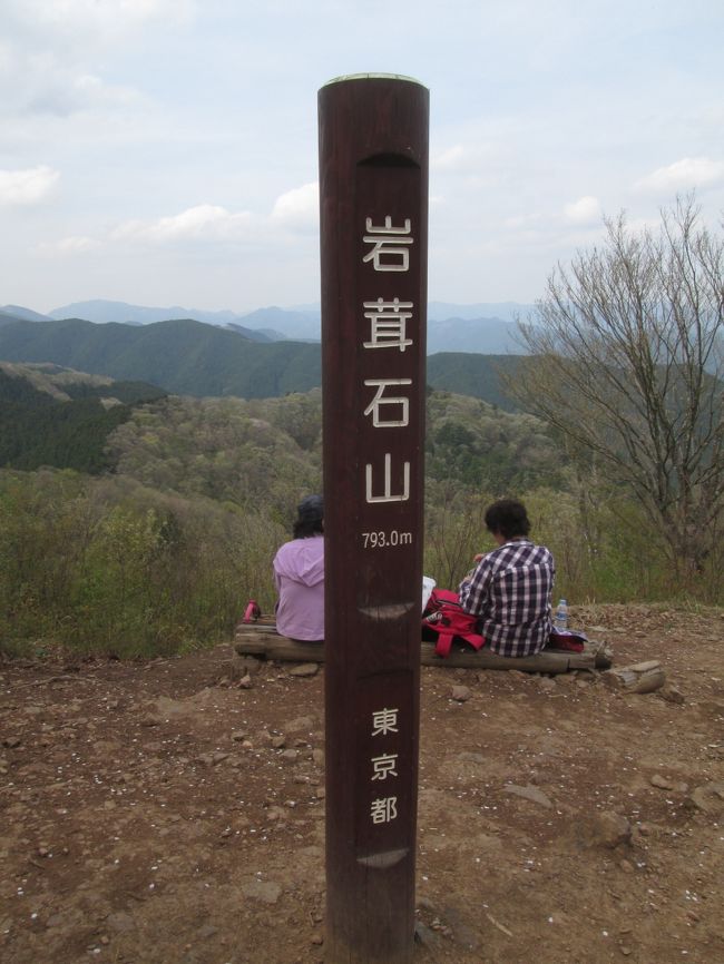 岩茸石山（いわたけいしやま）は東京都青梅市・西多摩郡奥多摩町の境目の奥多摩山域にある標高793mの山。<br /><br />惣岳山、高水山、岩茸石山を併せて高水三山といい、奥多摩地域の登山の「入門編」ということになっている。多摩川沿いから上がっていくと、棒ノ折山（の稜線）をピークに、向こう側は奥武蔵の地、荒川水系入間川の流域である。山腹に、升が滝という滝がある。<br />Wikipedia