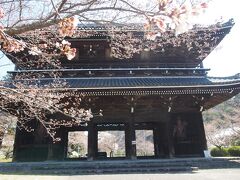 先ず連れてってくれたのが

『根来寺』

大門の所の桜は少し咲いてました。