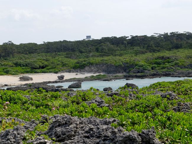 入江のむこうに飛行場の管制塔が見える