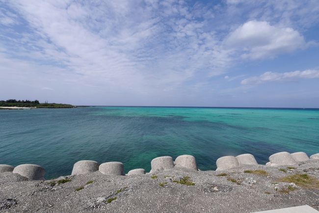 道一本海と空港を隔てる　　きれいだねえ