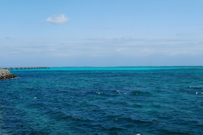 こちらの海は青い