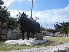 二日間ダイビングを楽しんだので、今日はリベンジ波照間。
波は結構高そうだけど、ホテルでチェックしたら通常通り運航となっていたので張り切って港へ向かいました。
ところが、安栄さんのカウンターへ行ったら、波照間便は運航の見通し未定で、現時点では欠航する可能性が高いと言われ凹みました。
行って帰れなくなると困るので今回も波照間はお預け。
「波照間に招かれてないんだよ〜ハハハ」と笑う留守番の家族達。
何かむかつきながらも気を取り直します。
（島の神様そろそろどうか私を島にお招き下さいませ）

予定変更してまだ行った事がない牛さんの島、黒島へ。