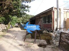 （波照間の事しか考えて無かったので）黒島観光はノープラン。
とりあえず目に付いた黒島研究所とやらに立ち寄ってみます。
しかし、この静けさは何でしょうね。