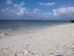 一人旅の時はシュノーケルしないので、人気の仲本海岸遊泳禁止でもそれほどがっかりしませんでしたが、海の色がとても綺麗で素敵だったので次回は黒島でダイビングしてみるのも良いかな〜と思いました。
こちらにも先客のお一人様が・・・
そういう私もお一人様ですけど（笑）一人旅に人気の島なのかしら？

ここに自転車を止めて前カゴに手荷物を入れたままにしていると、食べ物が入ってなくてもカラスに狙われちゃうんですね。
ペットボトルしか入ってないスーパーのビニール袋しっかり襲われてました。