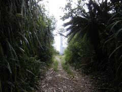 黒島灯台
今まで島の中で人を見かけなかったのですが、こちらはカップルばかり。
黒島は別名ハートアイランドなんですって。なるほど・・・


