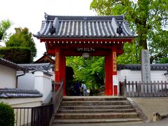 ゆっくり歩いて20分ほどで乙訓寺へ到着！
弘法大師のゆかりの寺なんだって。