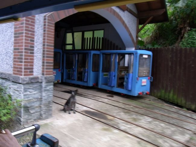 トロッコの車庫。<br /><br />トロッコの長さは３両から６両くらいまで数種類あり、車体の色はブルーやピンク、緑などがありました。