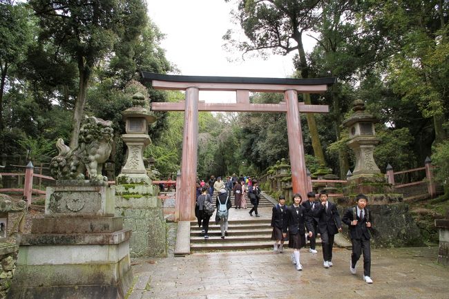春日大社の駐車場からすぐに二之鳥居があります。<br />