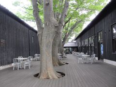 山居倉庫。

写真の場所はカフェなんですが、誰もいない…。