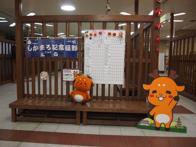 中に入ると「しかまろ」と記念撮影出来るポイントが。。