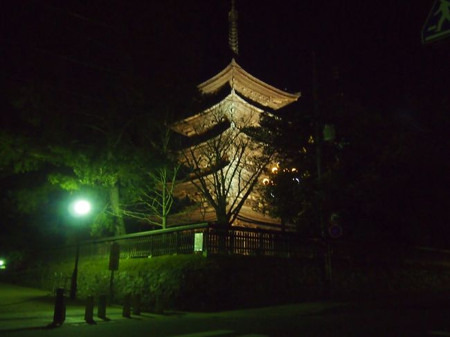 興福寺の五重塔がライトアップされてるので、行ってみました