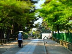 近鉄奈良駅から坂を昇り終えた右手には、国宝の五重塔と東金堂のある興福寺が見えてきます。
藤原氏ゆかりのお寺で、平城京時代に栄華を誇った藤原家が垣間見られます。
左側に見えるおじさんの背中は、鹿せんべい売りの方で、出勤風景を写真に撮りました。