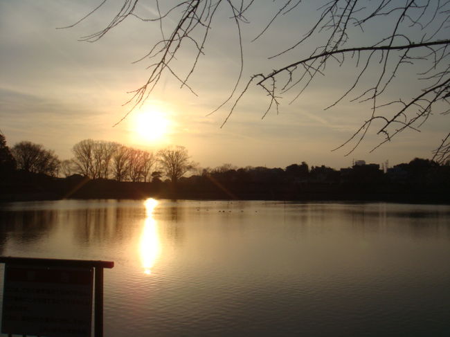 平和公園のサンセット<br />ワンマイルお散歩でした。