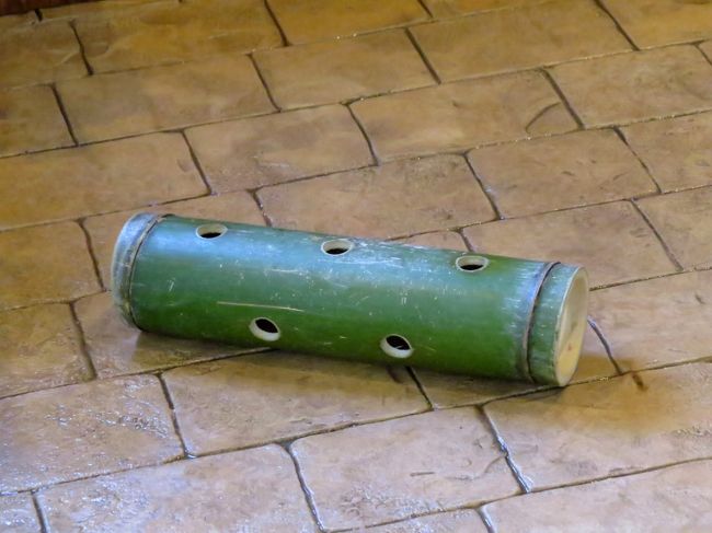 そして、娘ちゃんの展示室には竹の筒に穴を開けたおもちゃが投入されていました・・・この手のおもちゃを日本のレッサーパンダ舎で見るのは初めてかもしれません。<br /><br />前回、４月１１日訪問した時には娘ちゃんの常同行動が目立ち少し心配だったのですが、いろいろ対策は打たれているようで安心しました。<br /><br />