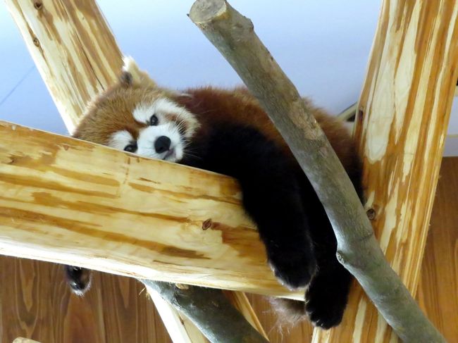 娘ちゃん。<br /><br />見事な仕事っぷりです（笑）