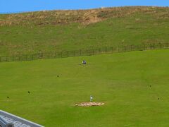 さあ、最後の山登りです。
これが若草山です。なんか、イチャイチャしているカップルが...