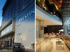 この日はまずラミー・グランド・ホテル＆スパからウェスティン・バーレーン・シティー・センター へ移動。

このホテルも市街地の見所からはちょっとだけ離れていますが、シティ・センター・バーレーンと言う巨大なショッピング・センターと直結していて便利でした。

外観もロビー周辺も明るく機能的でモダンなホテルです。



