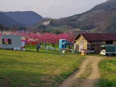 医王寺からゆっくり歩いて30分で「花ももの里」に到着です。果樹園の跡地に世界中から集められた40品種の花ももが植えられています。入場料は無料。