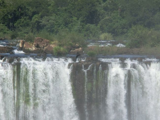 小さく見えるけど、近くで見たらものすごい大きいんやろうなあ…