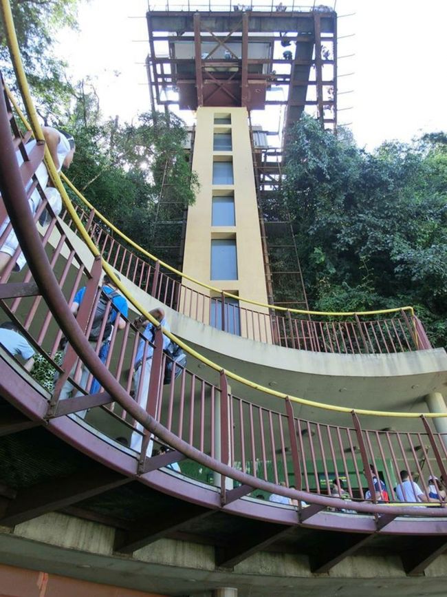 時間がない人、高齢の人などはブラジル側のイグアス国立公園をオススメします。エレベーターがあるし、見どころまでそんなに歩かないし。