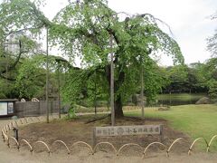 お昼のあとは、東京メトロ丸ノ内線で淡路町から後楽園へ。そこから歩いて「小石川後楽園」水戸藩の徳川家光由来の庭園へ。庭園をめぐると全国漫遊できる。