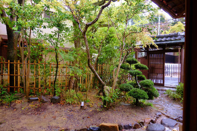 廊下から見える　門や小さなお庭。