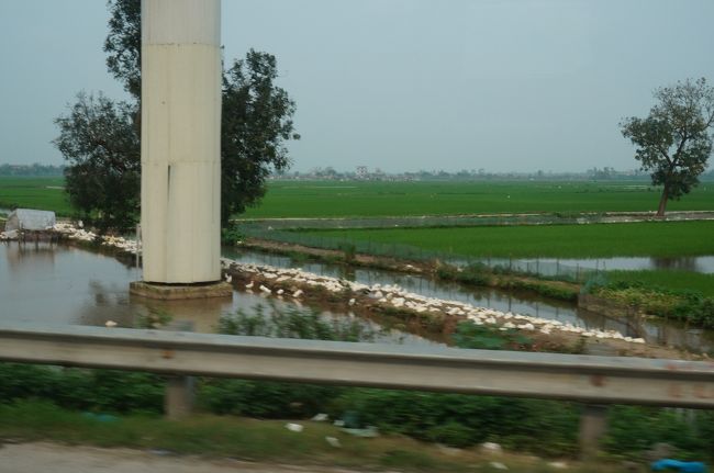 帰りの高速道路から。<br />途中でアヒルが沢山。養殖されているそう。<br /><br />そして、時間より少し早く１６時半頃ホテルに戻ってきました。<br /><br />続く