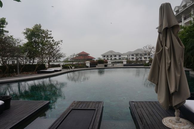 朝のプールは誰もいません。