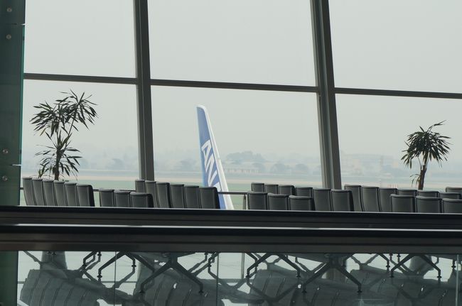 あれに乗ります。