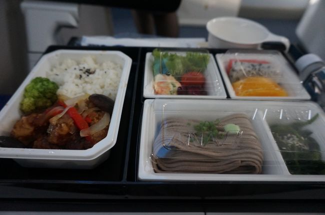 機内食。<br />お魚だったかなー？<br />無事に帰国となりました。