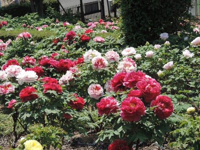 起伏のある花園は森に囲まれ実に美しい。