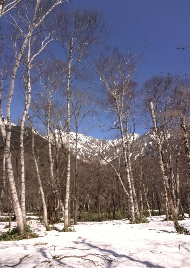 雪がまだまだあります！