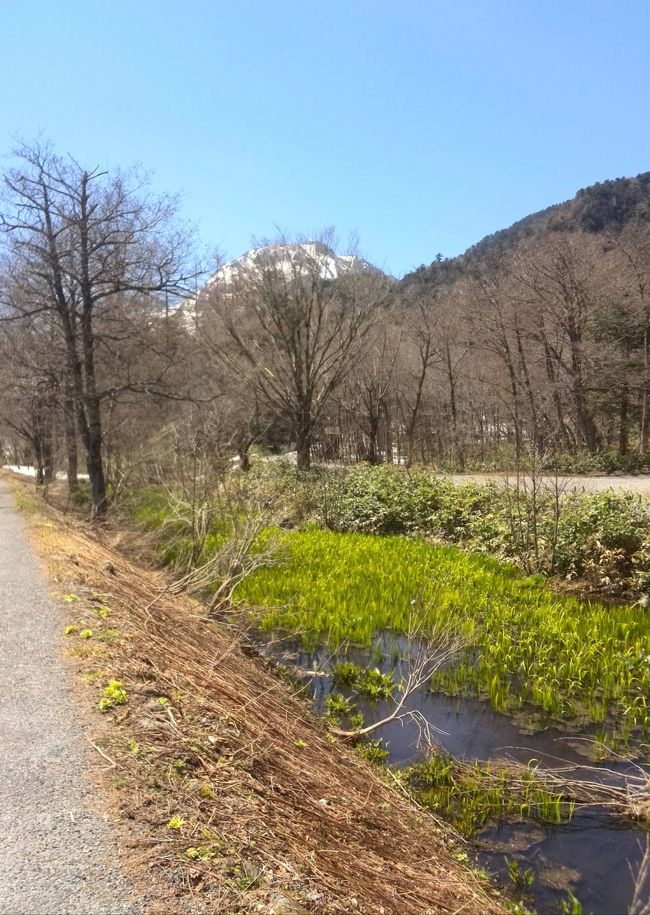 初夏には蛍がとんでます<br /><br />(*´∇｀*)