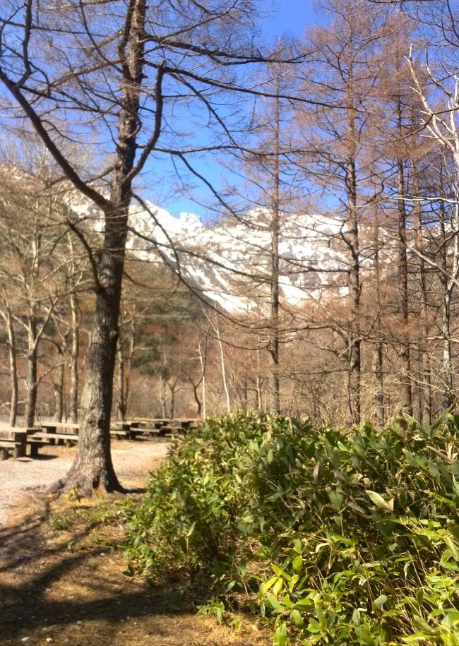 その後<br /><br />友人と別れ小梨平へ。