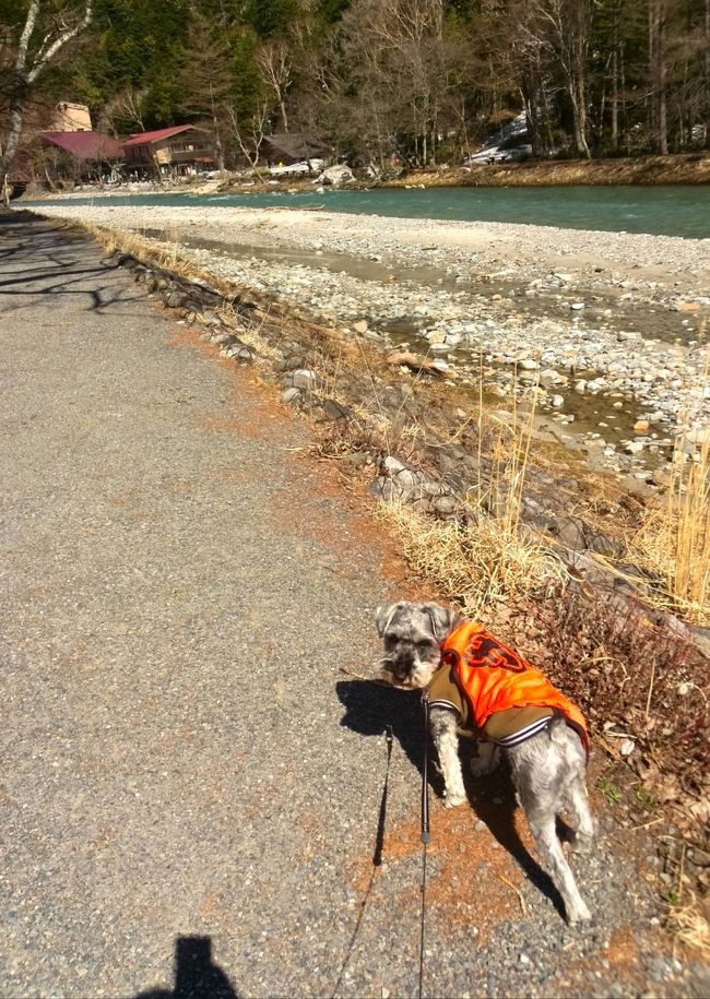 こちらも久々に再会(*￣∇￣)ノ