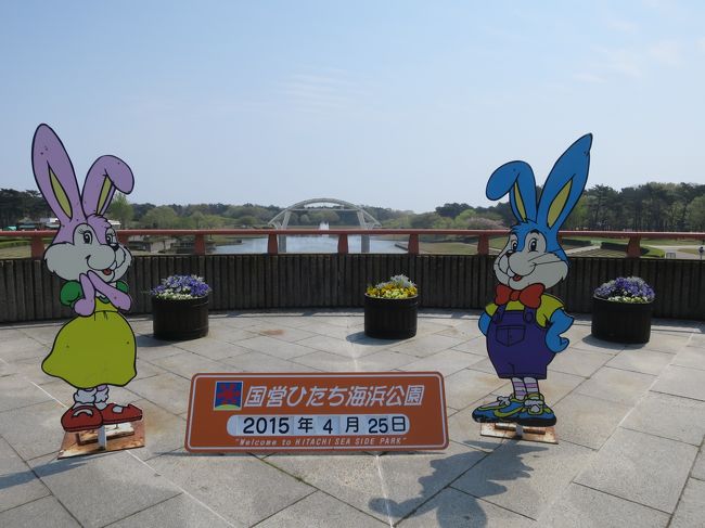 春のお出掛け「✾ひたちなか海浜公園・チューリップ編✾」①