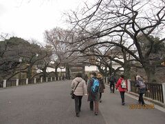 靖国神社参拝の後、北の丸公園に向かいました。